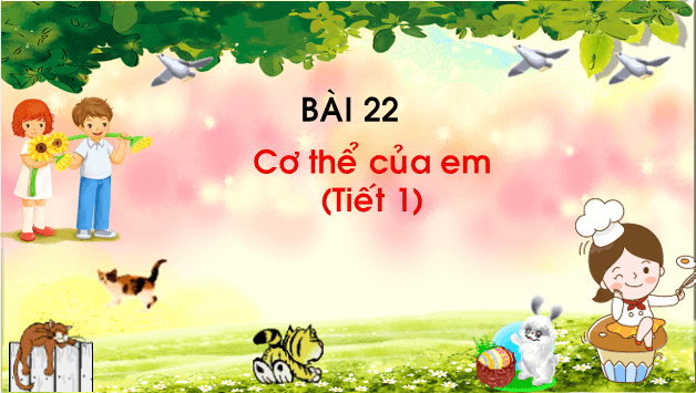 Giáo án điện tử TNXH lớp 1 Chân trời sáng tạo Bài 22: Cơ thể em | PPT Tự nhiên và xã hội lớp 1