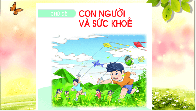 Giáo án điện tử TNXH lớp 1 Chân trời sáng tạo Bài 23: Các giác quan của em | PPT Tự nhiên và xã hội lớp 1