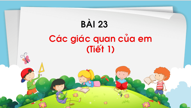 Giáo án điện tử TNXH lớp 1 Chân trời sáng tạo Bài 23: Các giác quan của em | PPT Tự nhiên và xã hội lớp 1