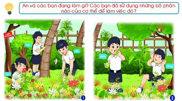 Giáo án điện tử TNXH lớp 1 Chân trời sáng tạo Bài 23: Các giác quan của em | PPT Tự nhiên và xã hội lớp 1