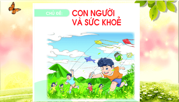 Giáo án điện tử TNXH lớp 1 Chân trời sáng tạo Bài 24: Em giữ vệ sinh cơ thể | PPT Tự nhiên và xã hội lớp 1