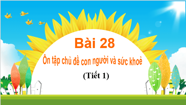 Giáo án điện tử TNXH lớp 1 Chân trời sáng tạo Bài 28: Ôn tập chủ đề Con người và sức khỏe | PPT Tự nhiên và xã hội lớp 1