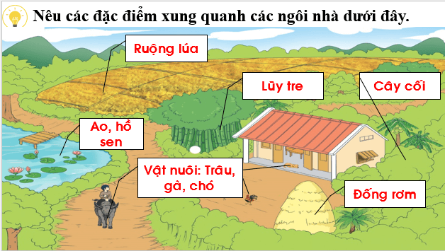 Giáo án điện tử TNXH lớp 1 Chân trời sáng tạo Bài 3: Nhà ở của em | PPT Tự nhiên và xã hội lớp 1