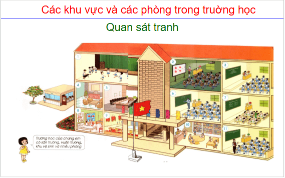 Giáo án điện tử TNXH lớp 1 Cánh diều Bài 5: Trường học của em | PPT Tự nhiên và xã hội lớp 1