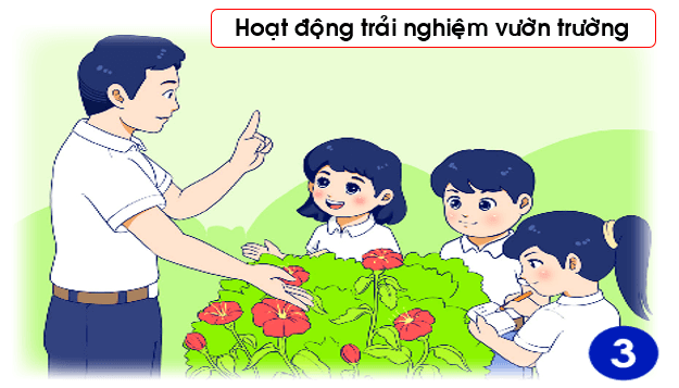 Giáo án điện tử TNXH lớp 1 Chân trời sáng tạo Bài 7: Hoạt động ở trường em | PPT Tự nhiên và xã hội lớp 1