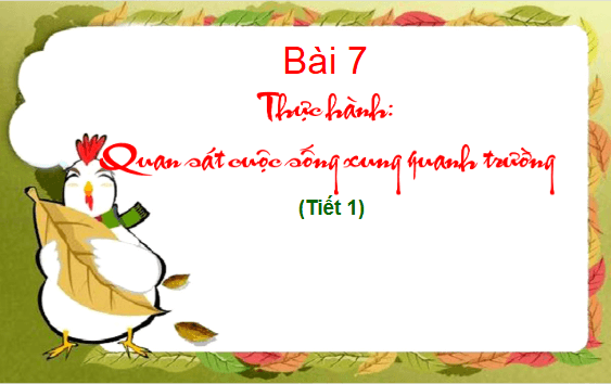 Giáo án điện tử TNXH lớp 1 Cánh diều Bài 7: Thực hành: Quan sát cuộc sống xung quanh trường | PPT Tự nhiên và xã hội lớp 1