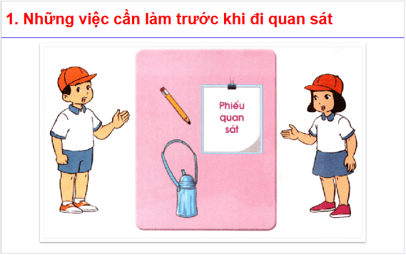 Giáo án điện tử TNXH lớp 1 Cánh diều Bài 7: Thực hành: Quan sát cuộc sống xung quanh trường | PPT Tự nhiên và xã hội lớp 1