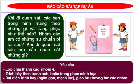 Giáo án điện tử TNXH lớp 1 Cánh diều Bài 7: Thực hành: Quan sát cuộc sống xung quanh trường | PPT Tự nhiên và xã hội lớp 1