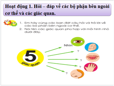 Giáo án điện tử TNXH lớp 1 Cánh diều Ôn tập và đánh giá chủ đề Con người và sức khỏe | PPT Tự nhiên và xã hội lớp 1