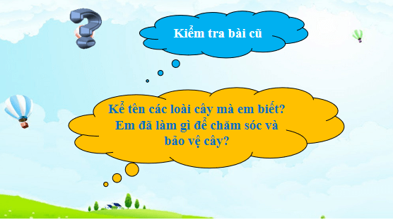 Giáo án điện tử TNXH lớp 1 Cánh diều Ôn tập và đánh giá chủ đề Thực vật và động vật | PPT Tự nhiên và xã hội lớp 1