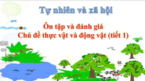 Giáo án điện tử TNXH lớp 1 Cánh diều Ôn tập và đánh giá chủ đề Thực vật và động vật | PPT Tự nhiên và xã hội lớp 1