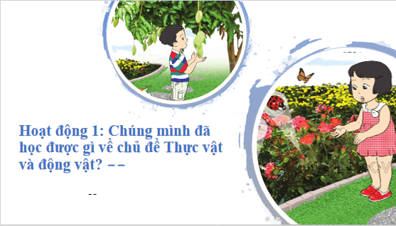 Giáo án điện tử TNXH lớp 1 Cánh diều Ôn tập và đánh giá chủ đề Thực vật và động vật | PPT Tự nhiên và xã hội lớp 1