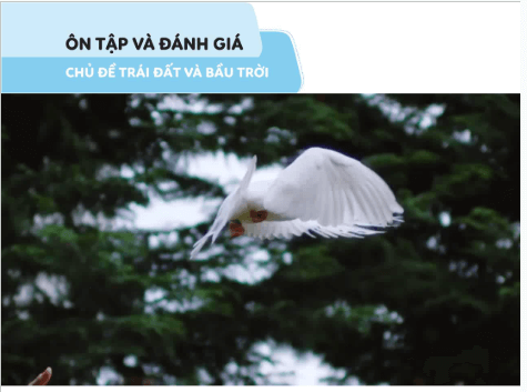 Giáo án điện tử TNXH lớp 1 Cánh diều Ôn tập và đánh giá chủ đề Trái đất và bầu trời | PPT Tự nhiên và xã hội lớp 1