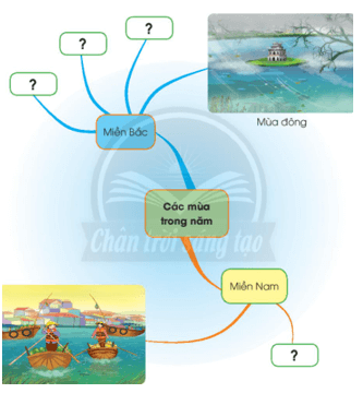 Giáo án Tự nhiên và xã hội lớp 2 Chân trời sáng tạo Bài 29: Ôn tập chủ đề Trái đất và bầu trời