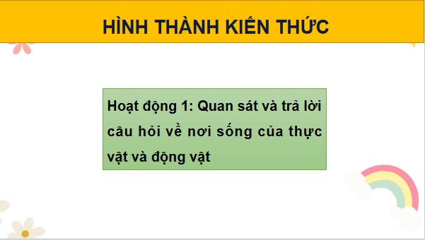 Giáo án điện tử TNXH lớp 2 Cánh diều Bài 11: Môi trường sống của thực vật và động vật | PPT Tự nhiên và xã hội lớp 2