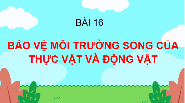 Giáo án điện tử TNXH lớp 2 Chân trời sáng tạo Bài 16: Bảo vệ môi trường sống của thực vật và động vật | PPT Tự nhiên và xã hội lớp 2