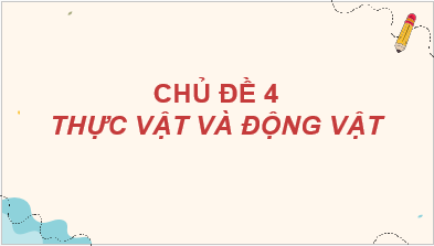 Giáo án điện tử TNXH lớp 2 Kết nối tri thức Bài 18: Cần làm gì để bảo vệ môi trường sống của thực vật và động vật | PPT Tự nhiên và xã hội lớp 2