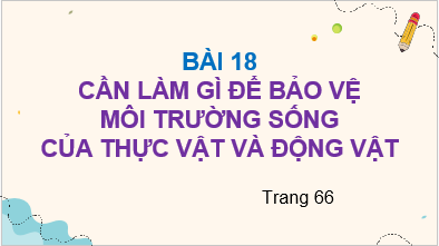 Giáo án điện tử TNXH lớp 2 Kết nối tri thức Bài 18: Cần làm gì để bảo vệ môi trường sống của thực vật và động vật | PPT Tự nhiên và xã hội lớp 2