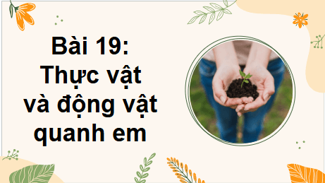 Giáo án điện tử TNXH lớp 2 Kết nối tri thức Bài 19: Thực vật và động vật quanh em | PPT Tự nhiên và xã hội lớp 2