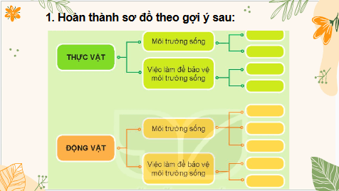 Giáo án điện tử TNXH lớp 2 Kết nối tri thức Bài 20: Ôn tập chủ đề Thực vật và động vật | PPT Tự nhiên và xã hội lớp 2