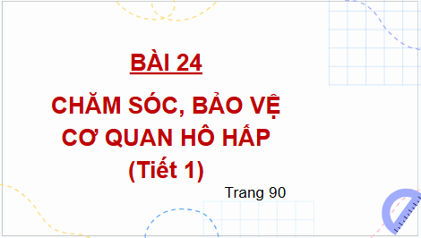Giáo án điện tử TNXH lớp 2 Kết nối tri thức Bài 24: Chăm sóc, bảo vệ cơ quan hô hấp | PPT Tự nhiên và xã hội lớp 2