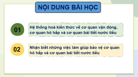 Giáo án điện tử TNXH lớp 2 Chân trời sáng tạo Bài 25: Ôn tập chủ đề Con người và sức khoẻ | PPT Tự nhiên và xã hội lớp 2
