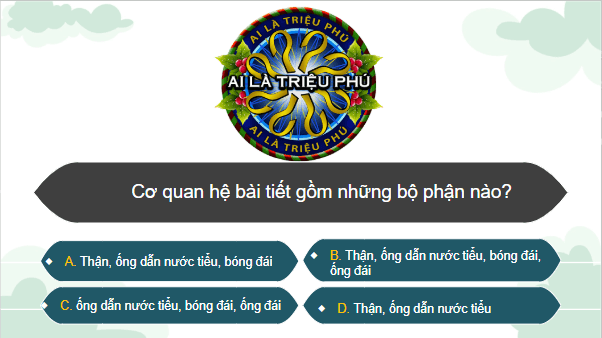 Giáo án điện tử TNXH lớp 2 Cánh diều Ôn tập và đánh giá - Chủ đề Cơ quan vận động | PPT Tự nhiên và xã hội lớp 2