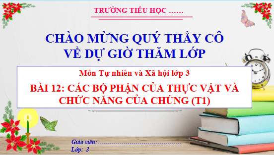 Giáo án điện tử TNXH lớp 3 Cánh diều Bài 12: Các bộ phận của thực vật và chức năng của chúng | PPT Tự nhiên và xã hội lớp 3