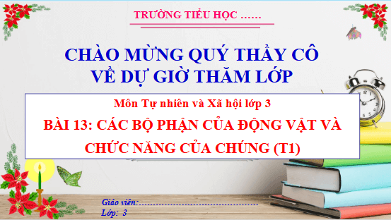Giáo án điện tử TNXH lớp 3 Cánh diều Bài 13: Các bộ phận của động vật và chức năng của chúng | PPT Tự nhiên và xã hội lớp 3