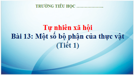 Giáo án điện tử TNXH lớp 3 Kết nối tri thức Bài 13: Một số bộ phận của thực vật | PPT Tự nhiên và xã hội lớp 3
