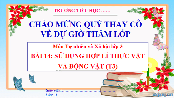 Giáo án điện tử TNXH lớp 3 Cánh diều Bài 14: Sử dụng hợp lí thực vật và động vật | PPT Tự nhiên và xã hội lớp 3