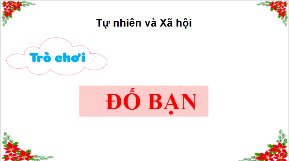Giáo án điện tử TNXH lớp 3 Cánh diều Bài 14: Sử dụng hợp lí thực vật và động vật | PPT Tự nhiên và xã hội lớp 3