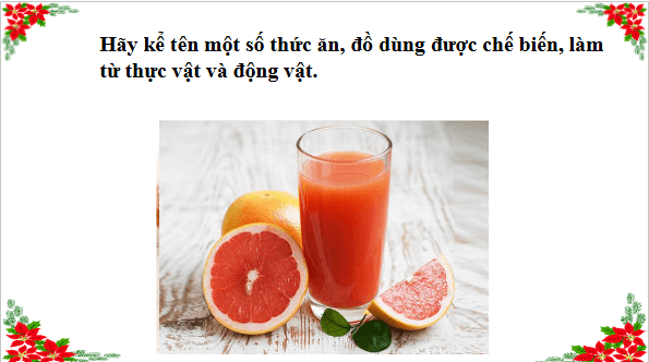 Giáo án điện tử TNXH lớp 3 Cánh diều Bài 14: Sử dụng hợp lí thực vật và động vật | PPT Tự nhiên và xã hội lớp 3