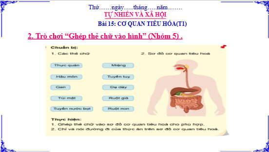 Giáo án điện tử TNXH lớp 3 Cánh diều Bài 15: Cơ quan tiêu hóa | PPT Tự nhiên và xã hội lớp 3