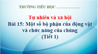 Giáo án điện tử TNXH lớp 3 Kết nối tri thức Bài 15: Một số bộ phân của động vật và chức năng của chúng | PPT Tự nhiên và xã hội lớp 3
