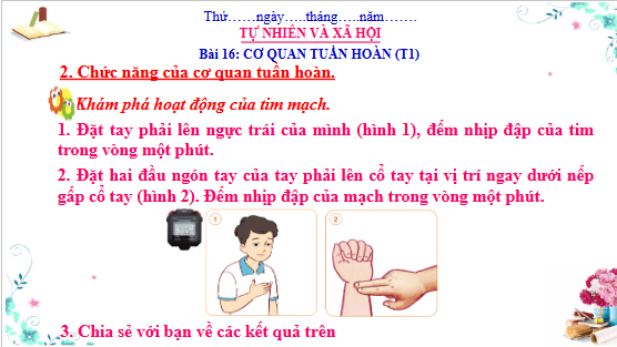 Giáo án điện tử TNXH lớp 3 Cánh diều Bài 16: Cơ quan tuần hoàn | PPT Tự nhiên và xã hội lớp 3