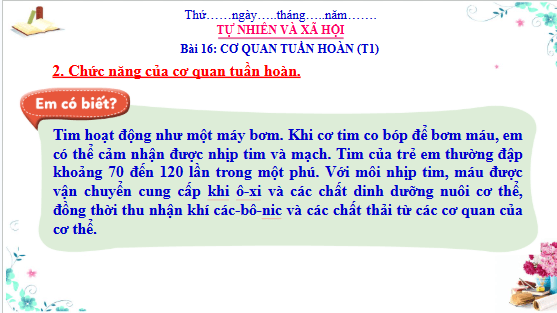 Giáo án điện tử TNXH lớp 3 Cánh diều Bài 16: Cơ quan tuần hoàn | PPT Tự nhiên và xã hội lớp 3