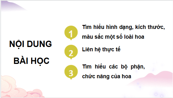 Giáo án điện tử TNXH lớp 3 Chân trời sáng tạo Bài 16: Hoa và quả | PPT Tự nhiên và xã hội lớp 3