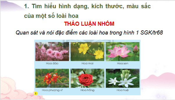 Giáo án điện tử TNXH lớp 3 Chân trời sáng tạo Bài 16: Hoa và quả | PPT Tự nhiên và xã hội lớp 3