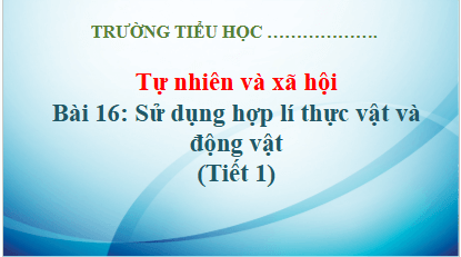 Giáo án điện tử TNXH lớp 3 Kết nối tri thức Bài 16: Sử dụng hợp lý thực vật và động vật | PPT Tự nhiên và xã hội lớp 3