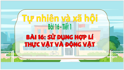 Giáo án điện tử TNXH lớp 3 Kết nối tri thức Bài 16: Sử dụng hợp lý thực vật và động vật | PPT Tự nhiên và xã hội lớp 3