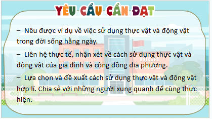 Giáo án điện tử TNXH lớp 3 Kết nối tri thức Bài 16: Sử dụng hợp lý thực vật và động vật | PPT Tự nhiên và xã hội lớp 3