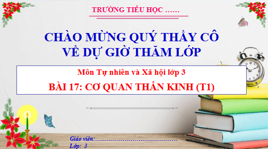 Giáo án điện tử TNXH lớp 3 Cánh diều Bài 17: Cơ quan thần kinh | PPT Tự nhiên và xã hội lớp 3