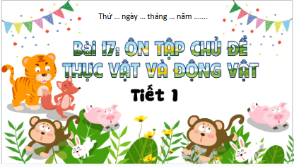 Giáo án điện tử TNXH lớp 3 Kết nối tri thức Bài 17: Ôn tập chủ đề thực vật và động vật | PPT Tự nhiên và xã hội lớp 3
