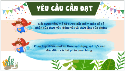 Giáo án điện tử TNXH lớp 3 Kết nối tri thức Bài 17: Ôn tập chủ đề thực vật và động vật | PPT Tự nhiên và xã hội lớp 3