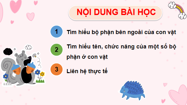 Giáo án điện tử TNXH lớp 3 Chân trời sáng tạo Bài 17: Thế giới động vật quanh em | PPT Tự nhiên và xã hội lớp 3