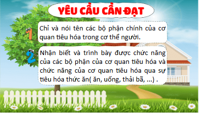 Giáo án điện tử TNXH lớp 3 Kết nối tri thức Bài 18: Cơ quan tiêu hóa | PPT Tự nhiên và xã hội lớp 3