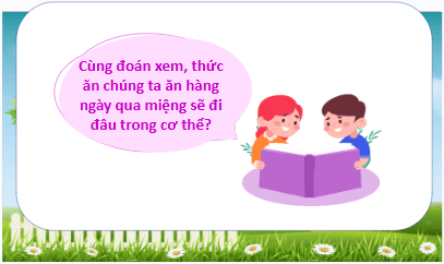 Giáo án điện tử TNXH lớp 3 Kết nối tri thức Bài 18: Cơ quan tiêu hóa | PPT Tự nhiên và xã hội lớp 3