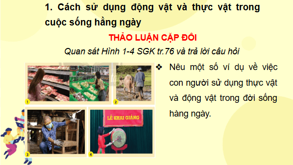 Giáo án điện tử TNXH lớp 3 Chân trời sáng tạo Bài 18: Sử dụng hợp lý thực vật và động vật | PPT Tự nhiên và xã hội lớp 3