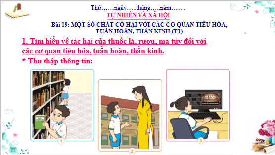 Giáo án điện tử TNXH lớp 3 Cánh diều Bài 19: Một số chất có hại đối với các cơ quan tiêu hóa, tuần hoàn, thần kinh | PPT Tự nhiên và xã hội lớp 3